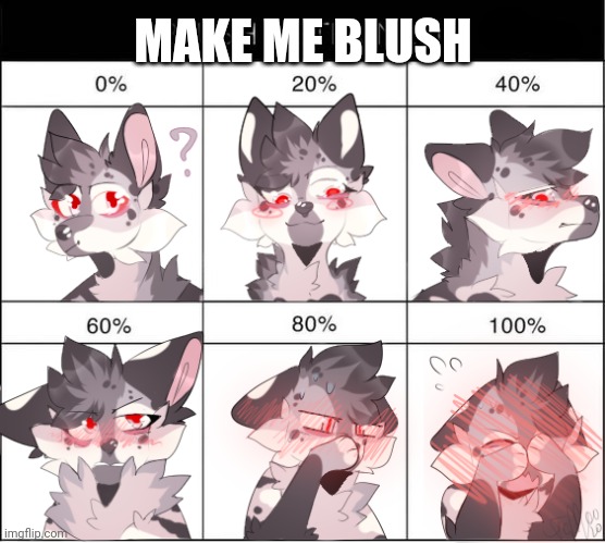 Furry Blush Meter | MAKE ME BLUSH | image tagged in furry blush meter | made w/ Imgflip meme maker