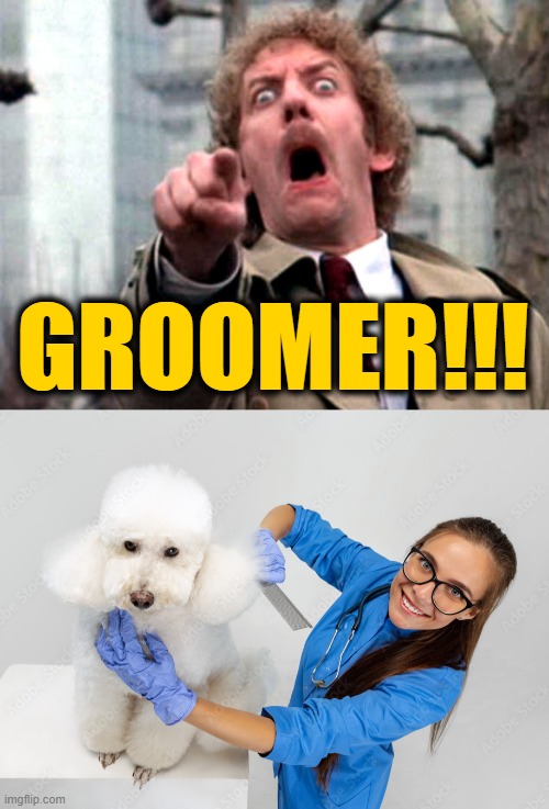 I Don't Know What Could Have Come Over Me | GROOMER!!! | image tagged in donald sutherland invasion of the body snatchers | made w/ Imgflip meme maker