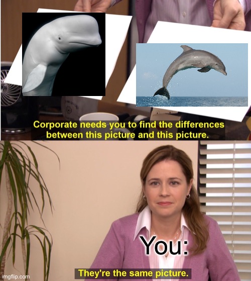 They're The Same Picture Meme | You: | image tagged in memes,they're the same picture | made w/ Imgflip meme maker