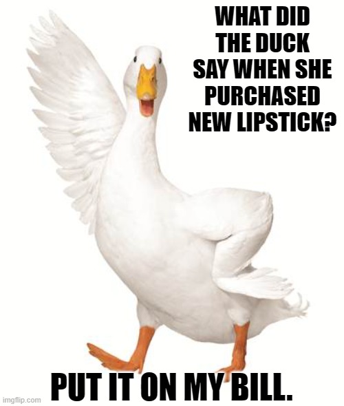 daily bad dad joke 05/24/2022 | WHAT DID THE DUCK SAY WHEN SHE PURCHASED NEW LIPSTICK? PUT IT ON MY BILL. | image tagged in aflac duck | made w/ Imgflip meme maker