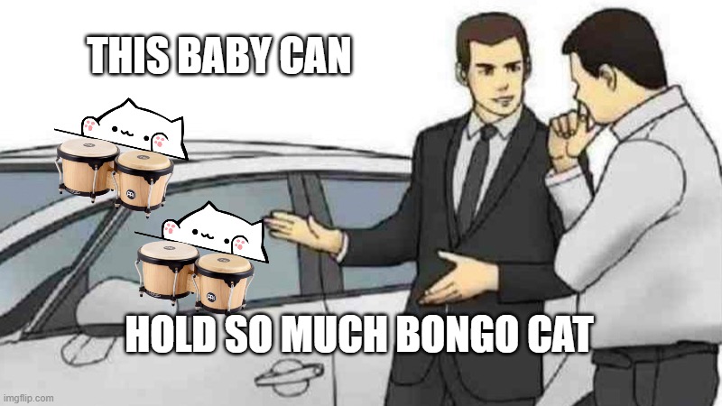 Car Salesman Slaps Roof Of Car | THIS BABY CAN; HOLD SO MUCH BONGO CAT | image tagged in memes,car salesman slaps roof of car | made w/ Imgflip meme maker