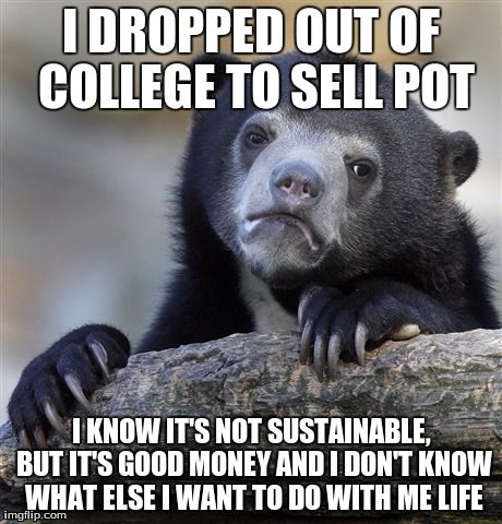 Confession Bear | I DROPPED OUT OF COLLEGE TO SELL POT I KNOW IT'S NOT SUSTAINABLE, BUT IT'S GOOD MONEY AND I DON'T KNOW WHAT ELSE I WANT TO DO WITH ME LIFE | image tagged in memes,confession bear | made w/ Imgflip meme maker