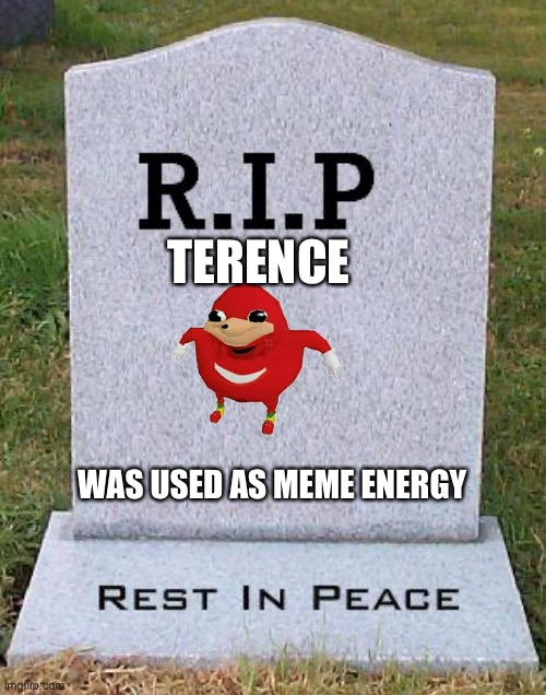 RIP headstone | TERENCE WAS USED AS MEME ENERGY | image tagged in rip headstone | made w/ Imgflip meme maker