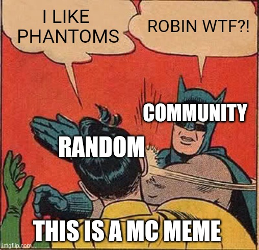 Community opinion on people that like phantoms | I LIKE
 PHANTOMS; ROBIN WTF?! COMMUNITY; RANDOM; THIS IS A MC MEME | image tagged in memes,batman slapping robin | made w/ Imgflip meme maker