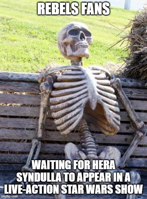 still waiting... | REBELS FANS; WAITING FOR HERA SYNDULLA TO APPEAR IN A LIVE-ACTION STAR WARS SHOW | image tagged in memes,waiting skeleton | made w/ Imgflip meme maker
