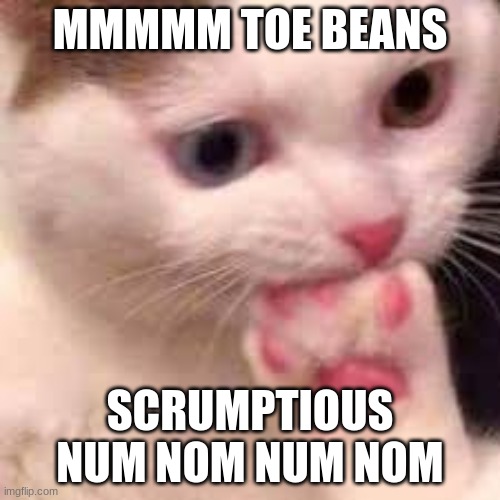 yum. | MMMMM TOE BEANS; SCRUMPTIOUS NUM NOM NUM NOM | image tagged in yum,cat,cursed,cats,yummy | made w/ Imgflip meme maker