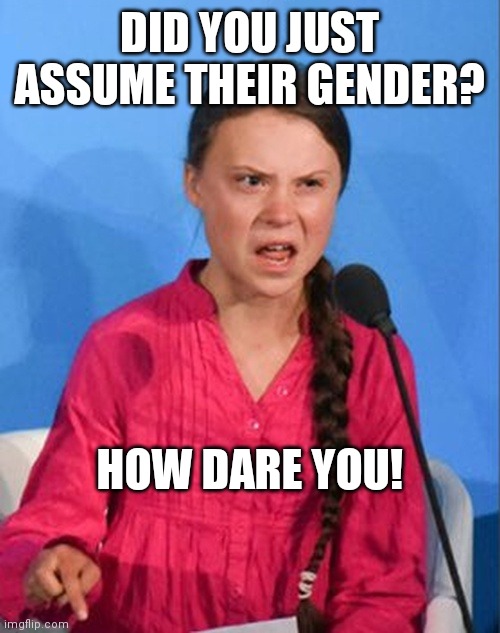 Greta Thunberg how dare you | DID YOU JUST ASSUME THEIR GENDER? HOW DARE YOU! | image tagged in greta thunberg how dare you | made w/ Imgflip meme maker