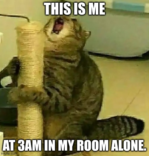 nice | THIS IS ME; AT 3AM IN MY ROOM ALONE. | image tagged in cats,cursed,3am,cat | made w/ Imgflip meme maker