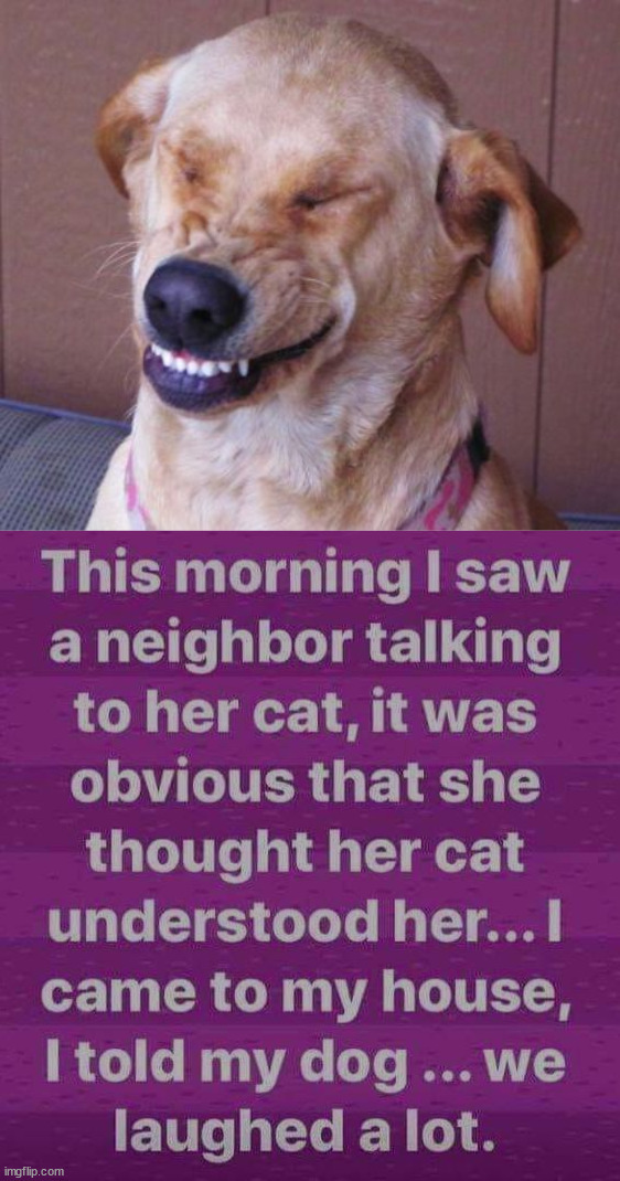 image tagged in dog laugh | made w/ Imgflip meme maker