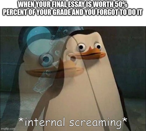 you are gonna fail | WHEN YOUR FINAL ESSAY IS WORTH 50% PERCENT OF YOUR GRADE AND YOU FORGOT TO DO IT | image tagged in private internal screaming | made w/ Imgflip meme maker