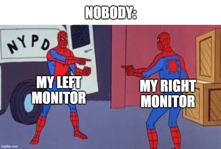 My Monitor Setup | NOBODY:; MY LEFT MONITOR; MY RIGHT MONITOR | image tagged in spiderman pointing at spiderman,computer | made w/ Imgflip meme maker