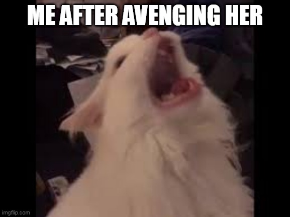 Screamin cat | ME AFTER AVENGING HER | image tagged in screamin cat | made w/ Imgflip meme maker