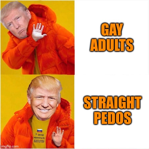 TRUMP AS DRAKE HATE VS. LOVE BLANK | GAY ADULTS STRAIGHT PEDOS | image tagged in trump as drake hate vs love blank,gay adults,straight pedos,sexual predator,conservative hypocrisy | made w/ Imgflip meme maker