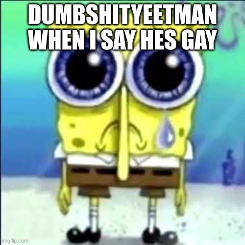 Sad Spongebob | DUMBSHITYEETMAN WHEN I SAY HES GAY | image tagged in sad spongebob | made w/ Imgflip meme maker