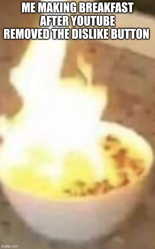 fire bowl | ME MAKING BREAKFAST AFTER YOUTUBE REMOVED THE DISLIKE BUTTON | image tagged in fire,bowl,memez | made w/ Imgflip meme maker