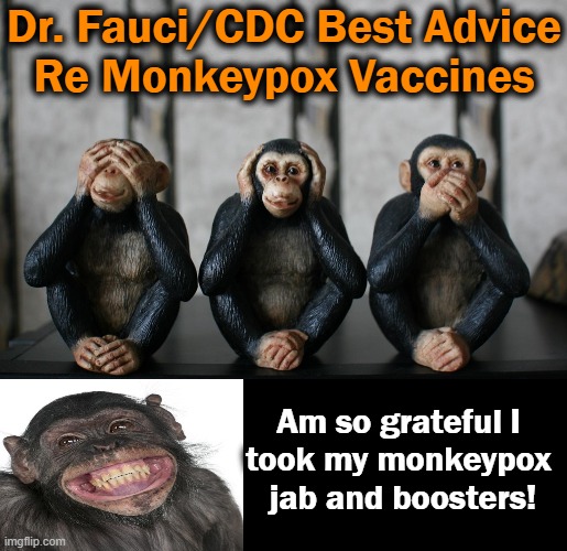 Monkey See, Monkey Do | Dr. Fauci/CDC Best Advice
Re Monkeypox Vaccines; Am so grateful I 
took my monkeypox 
jab and boosters! | image tagged in politics,dr fauci,cdc,vaccines,monkeypox,see no evil hear no evil speak no evil | made w/ Imgflip meme maker