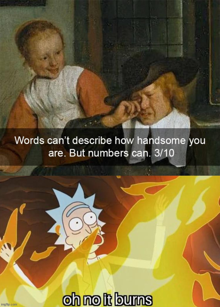 image tagged in oh no it burns rick and morty,insult | made w/ Imgflip meme maker
