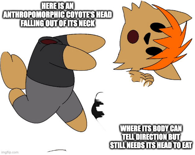 Headless Ricky | HERE IS AN ANTHROPOMORPHIC COYOTE'S HEAD FALLING OUT OF ITS NECK; WHERE ITS BODY CAN TELL DIRECTION BUT STILL NEEDS ITS HEAD TO EAT | image tagged in headless,memes | made w/ Imgflip meme maker