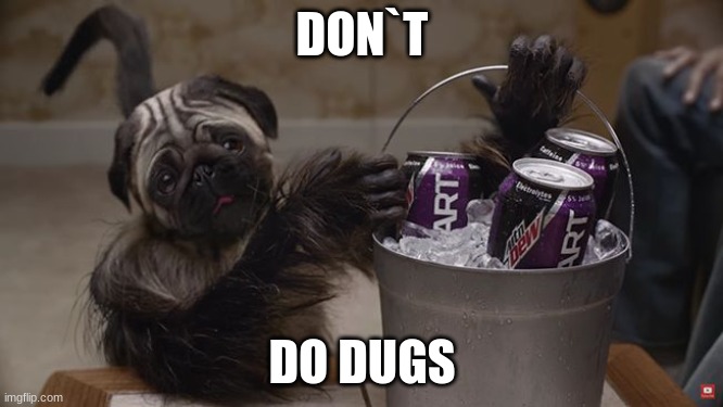 puppymonkeybaby | DON`T; DO DUGS | image tagged in puppymonkeybaby | made w/ Imgflip meme maker
