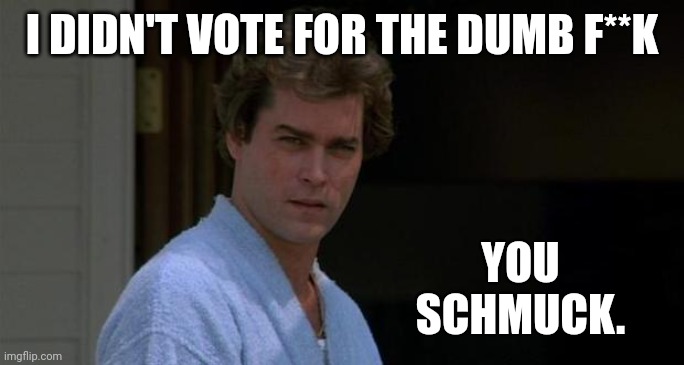 You schmuck. | I DIDN'T VOTE FOR THE DUMB F**K; YOU SCHMUCK. | image tagged in goodfellas | made w/ Imgflip meme maker