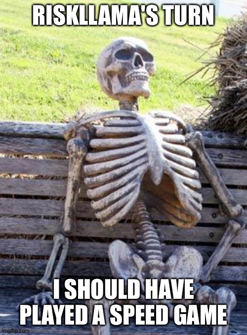 Waiting Skeleton Meme | RISKLLAMA'S TURN; I SHOULD HAVE PLAYED A SPEED GAME | image tagged in memes,waiting skeleton | made w/ Imgflip meme maker