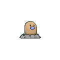 SHINY DIGLETT Blank Meme Template