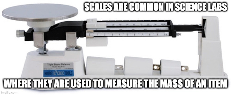 Science Scales | SCALES ARE COMMON IN SCIENCE LABS; WHERE THEY ARE USED TO MEASURE THE MASS OF AN ITEM | image tagged in school,science,scales,memes | made w/ Imgflip meme maker