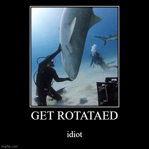 stupid shark | image tagged in funny,demotivationals | made w/ Imgflip demotivational maker