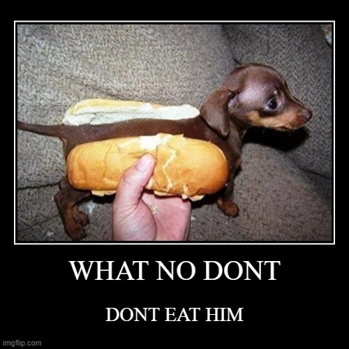 hot dog | image tagged in funny,demotivationals | made w/ Imgflip demotivational maker