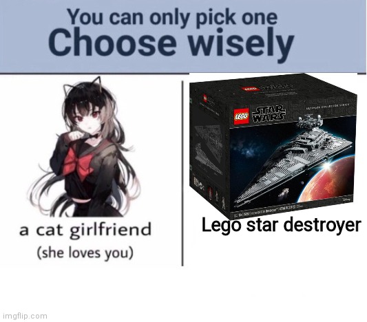 Choose wisely |  Lego star destroyer | image tagged in choose wisely | made w/ Imgflip meme maker