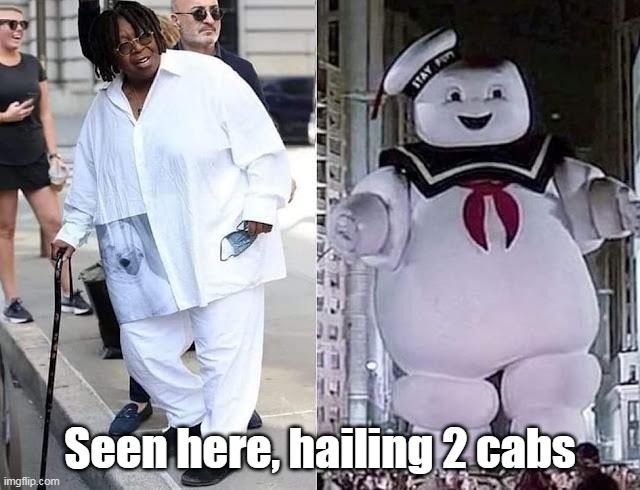 Seen here, hailing 2 cabs | made w/ Imgflip meme maker