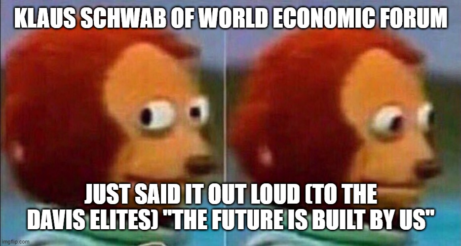 Wef controlling us | KLAUS SCHWAB OF WORLD ECONOMIC FORUM; JUST SAID IT OUT LOUD (TO THE DAVIS ELITES) "THE FUTURE IS BUILT BY US" | image tagged in monkey looking away | made w/ Imgflip meme maker