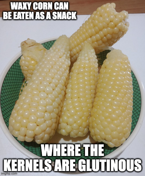 Waxy Corn | WAXY CORN CAN BE EATEN AS A SNACK; WHERE THE KERNELS ARE GLUTINOUS | image tagged in corn,memes | made w/ Imgflip meme maker