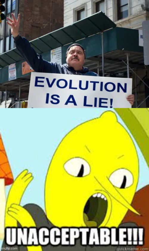 image tagged in lemongrab,evolution | made w/ Imgflip meme maker