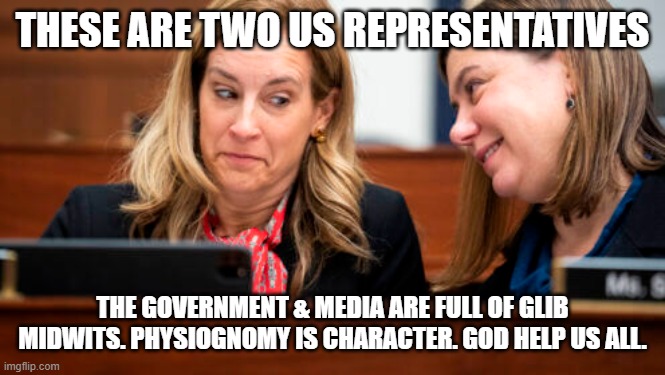 America is irredeemable | THESE ARE TWO US REPRESENTATIVES; THE GOVERNMENT & MEDIA ARE FULL OF GLIB MIDWITS. PHYSIOGNOMY IS CHARACTER. GOD HELP US ALL. | image tagged in memes | made w/ Imgflip meme maker