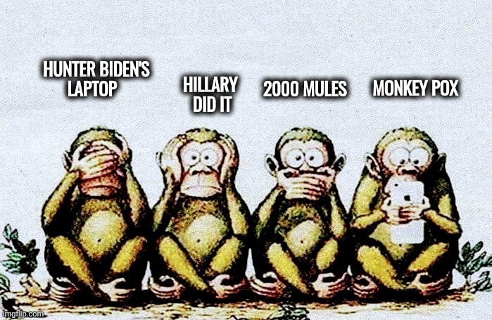 Liberals really are idiots | MONKEY POX; 2000 MULES; HILLARY                     
DID IT; HUNTER BIDEN'S
             LAPTOP | image tagged in media lies,cult,satan speaks,thought police | made w/ Imgflip meme maker