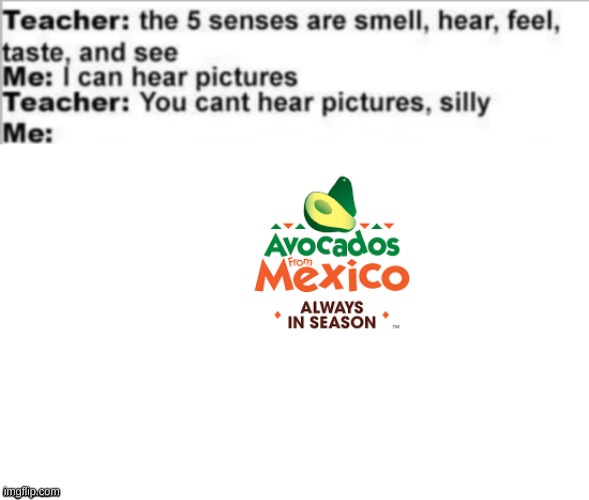 avocados from mexico | image tagged in you can't hear pictures,avocados from mexico | made w/ Imgflip meme maker