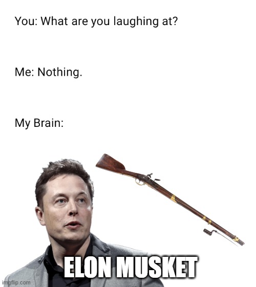 What are you laughing at | ELON MUSKET | image tagged in what are you laughing at,funny,elon musk | made w/ Imgflip meme maker