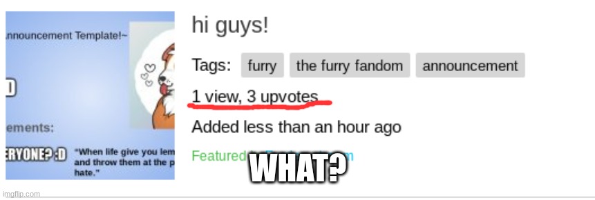 0-0 |  WHAT? | image tagged in what,lol so funny,furry | made w/ Imgflip meme maker