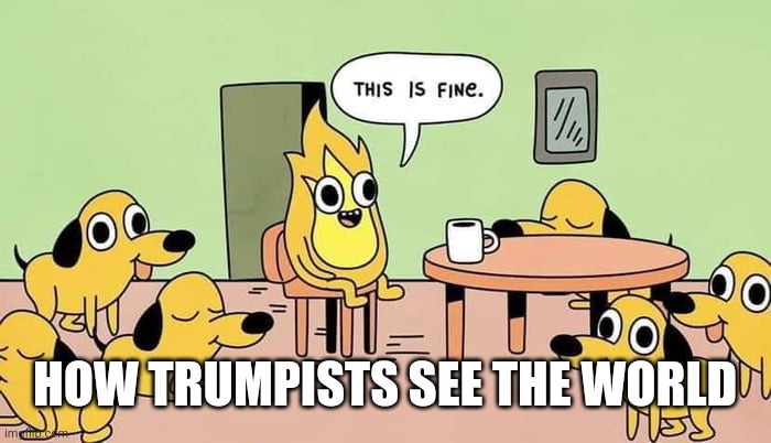 HOW TRUMPISTS SEE THE WORLD | image tagged in this is not fine,you are the problem | made w/ Imgflip meme maker
