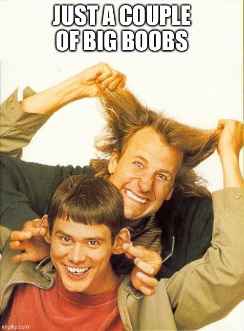 DUMB and dumber | JUST A COUPLE OF BIG BOOBS | image tagged in dumb and dumber | made w/ Imgflip meme maker