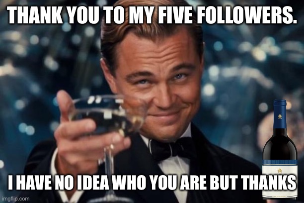 Leonardo Dicaprio Cheers | THANK YOU TO MY FIVE FOLLOWERS. I HAVE NO IDEA WHO YOU ARE BUT THANKS | image tagged in memes,leonardo dicaprio cheers | made w/ Imgflip meme maker