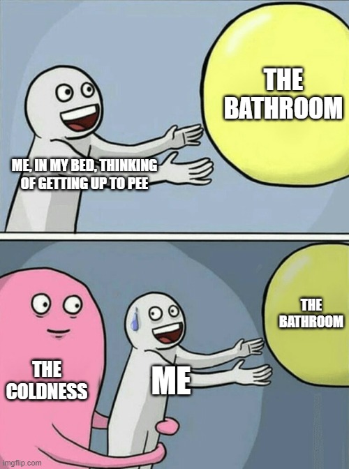 Relatable | THE BATHROOM; ME, IN MY BED, THINKING OF GETTING UP TO PEE; THE BATHROOM; THE COLDNESS; ME | image tagged in memes,running away balloon | made w/ Imgflip meme maker