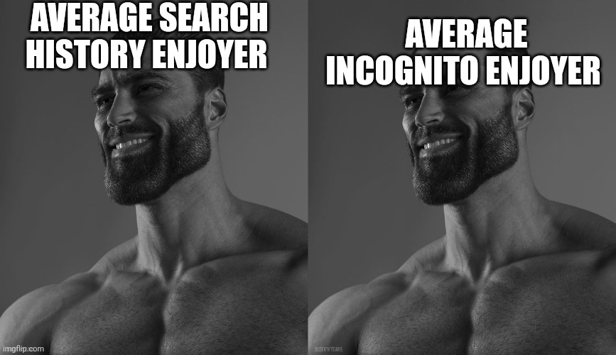 AVERAGE SEARCH HISTORY ENJOYER; AVERAGE INCOGNITO ENJOYER | image tagged in giga chad,please dont look at my search history | made w/ Imgflip meme maker