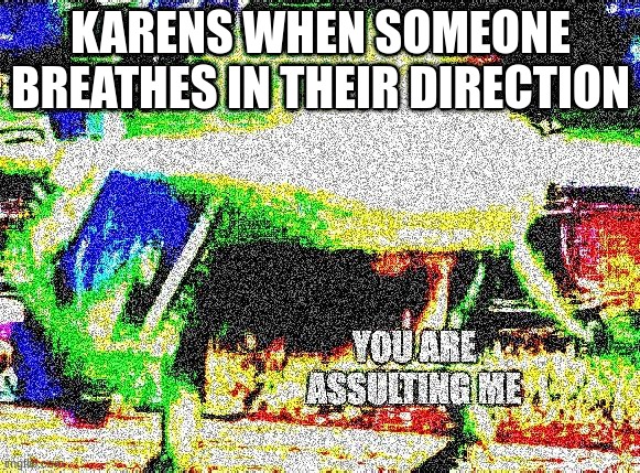 Karens be like | KARENS WHEN SOMEONE BREATHES IN THEIR DIRECTION | image tagged in funny | made w/ Imgflip meme maker