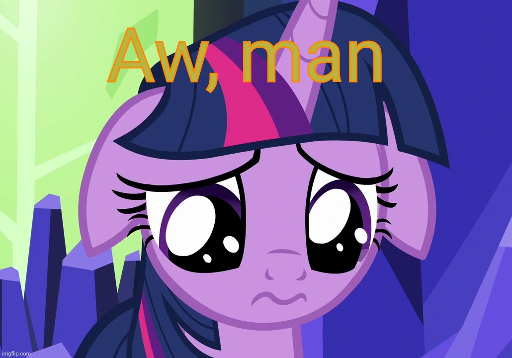 Sad Twilight (MLP) | Aw, man | image tagged in sad twilight mlp | made w/ Imgflip meme maker
