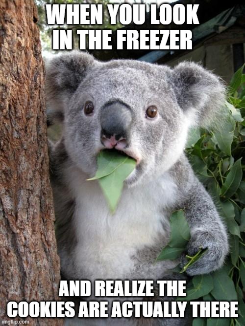Cookie Koala |  WHEN YOU LOOK IN THE FREEZER; AND REALIZE THE COOKIES ARE ACTUALLY THERE | image tagged in memes,surprised koala | made w/ Imgflip meme maker