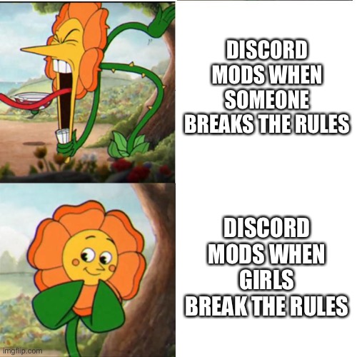 Cuphead Flower |  DISCORD MODS WHEN SOMEONE BREAKS THE RULES; DISCORD MODS WHEN GIRLS BREAK THE RULES | image tagged in cuphead flower | made w/ Imgflip meme maker