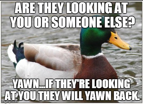 Interested in someone at the club? | ARE THEY LOOKING AT YOU OR SOMEONE ELSE? YAWN...IF THEY'RE LOOKING AT YOU THEY WILL YAWN BACK. | image tagged in memes,actual advice mallard | made w/ Imgflip meme maker
