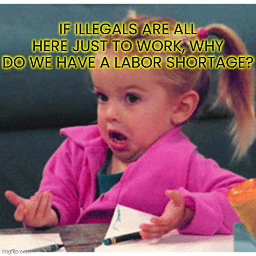If illegals are all here just to work, why do we have a labor shortage? | IF ILLEGALS ARE ALL HERE JUST TO WORK, WHY DO WE HAVE A LABOR SHORTAGE? | image tagged in political meme,illegals,labor shortage,liberal lies,illegal immigrants,biden lies | made w/ Imgflip meme maker